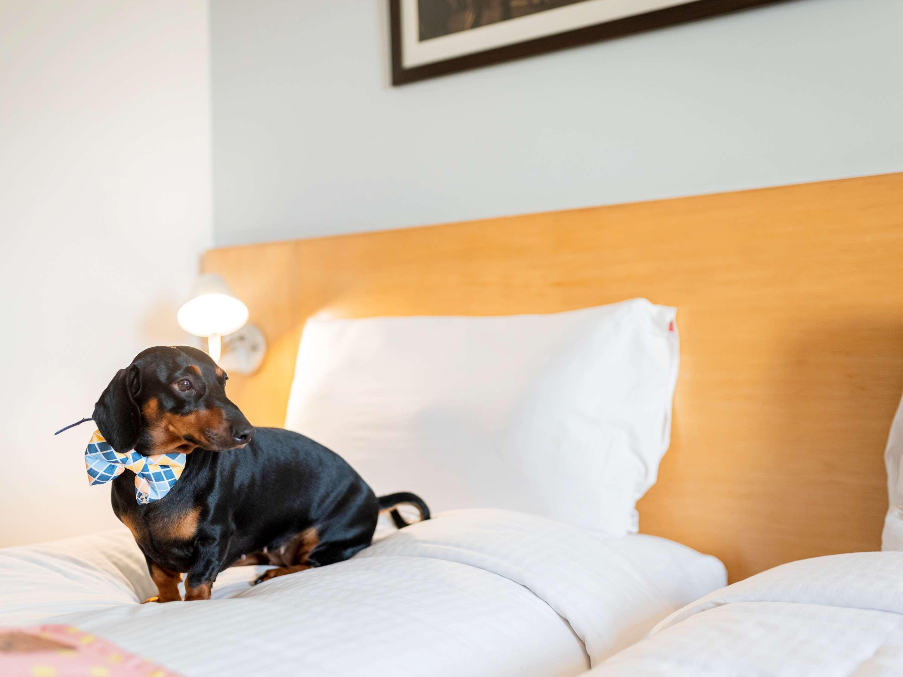 Ibis Chennai Omr - An Accor Brand Otel Dış mekan fotoğraf