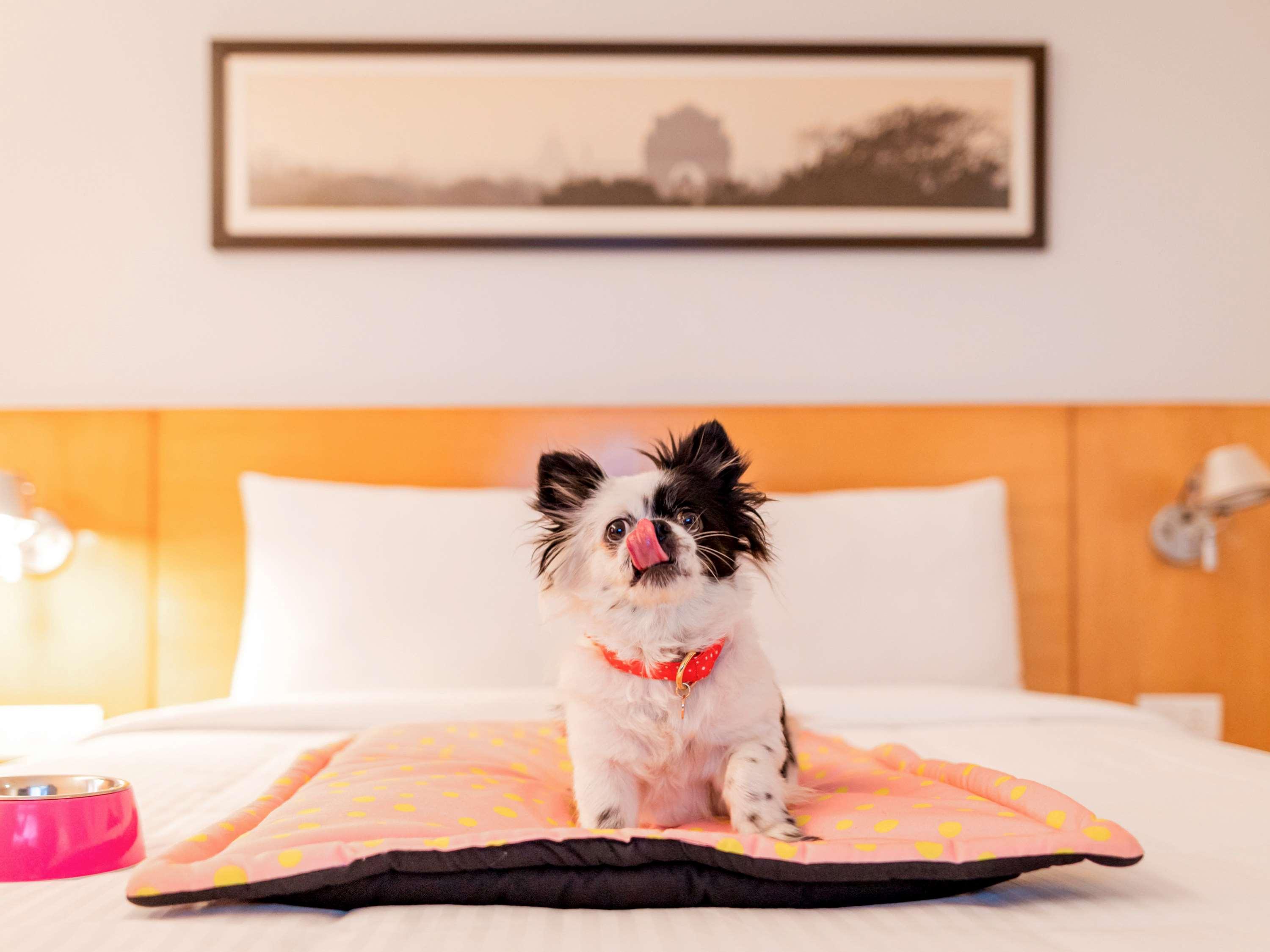Ibis Chennai Omr - An Accor Brand Otel Dış mekan fotoğraf